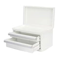 Portable Mini Toolbox 10.83-in W x 5.91-in H x 5.91-in D white Steel Tool Box, makeup orginaztion, craft storage