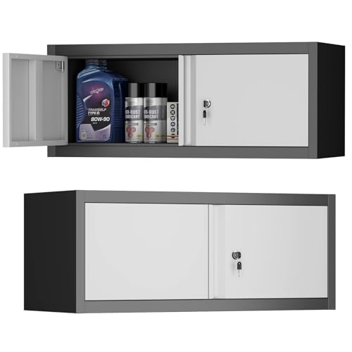 STEELIST Metal Locking Cabinet, 12.8" H Garage Cabinet Wall Mount, Steel Storage with Doors, Floating Storage Organization for RV, Hanging Cabinets for Workshop, Warehouse, Wall Cabinet