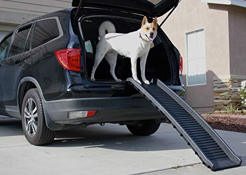 PawStep 61" Folding Pet Ramp, Portable Dog Ramp for Cars, SUVs, Beds & Couches, Lightweight PP Construction, Textured Surface, Optional Carpet for Added Traction, 165 lb Capacity (50524)
