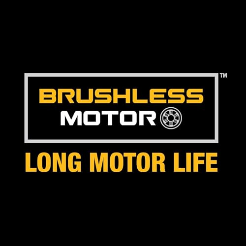DEWALT 20V MAX XR Oscillating Tool Kit with Blades, 3 Speed Cordless Brushless Multitool, Up to 20,000 OPM, LED Light, Battery and Charger Included (DCS356C1)