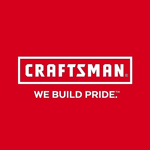 CRAFTSMAN Rolling Tool Box with Wheels, Includes Organizers and Trays, Heavy Duty Plastic, Lockable, 15.2 Inch (CMST33026)