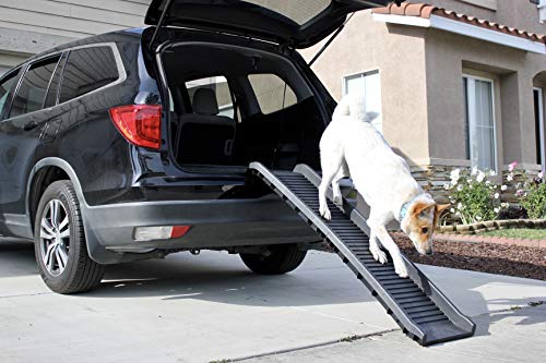 PawStep 61" Folding Pet Ramp, Portable Dog Ramp for Cars, SUVs, Beds & Couches, Lightweight PP Construction, Textured Surface, Optional Carpet for Added Traction, 165 lb Capacity (50524)