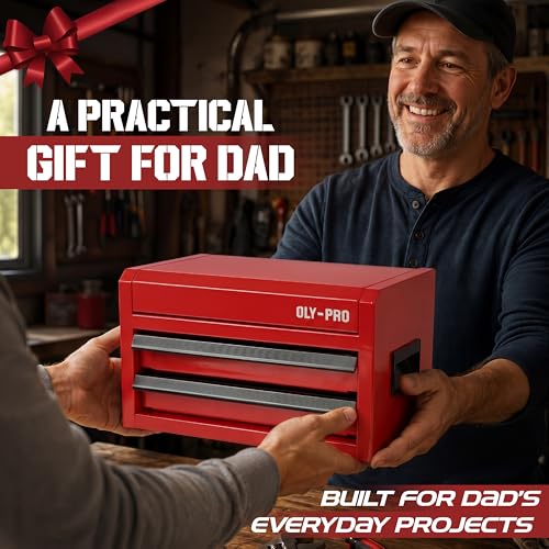 OLY-PRO Mini Toolbox with 2 Drawers and Top Storage, Durable Steel Construction with Ball-Bearing Slides, Multi-Purpose Portable Tool Boxes Case Organizer for Garage, Red