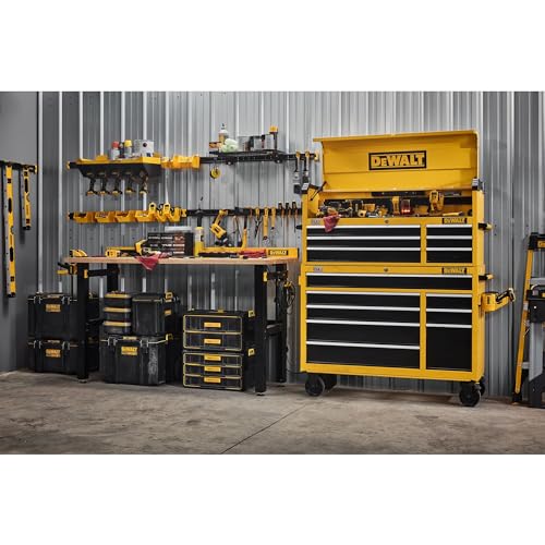 DEWALT Tool Organizer, Mount on Workbench, 20 Inch, Compact Metal Rail, DEWALT Workshop Storage System Compatible (DWST82827)
